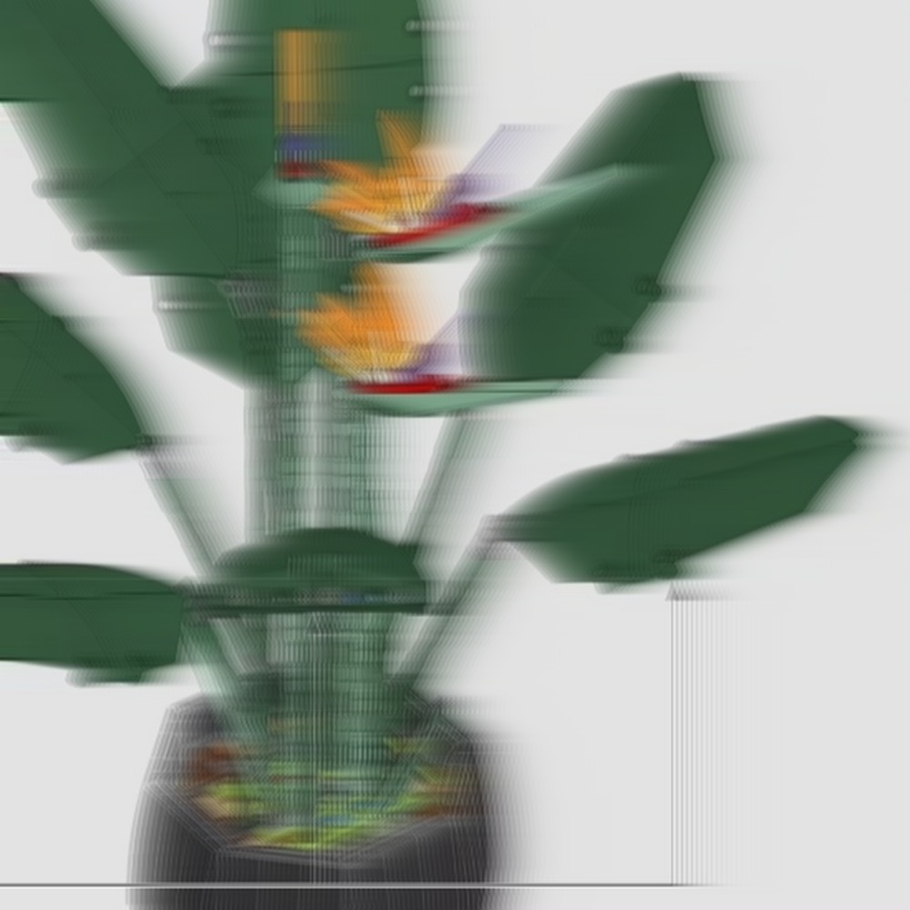 The Plant Parent - Set Dekorasi Bunga Anggrek Burung Surgawi