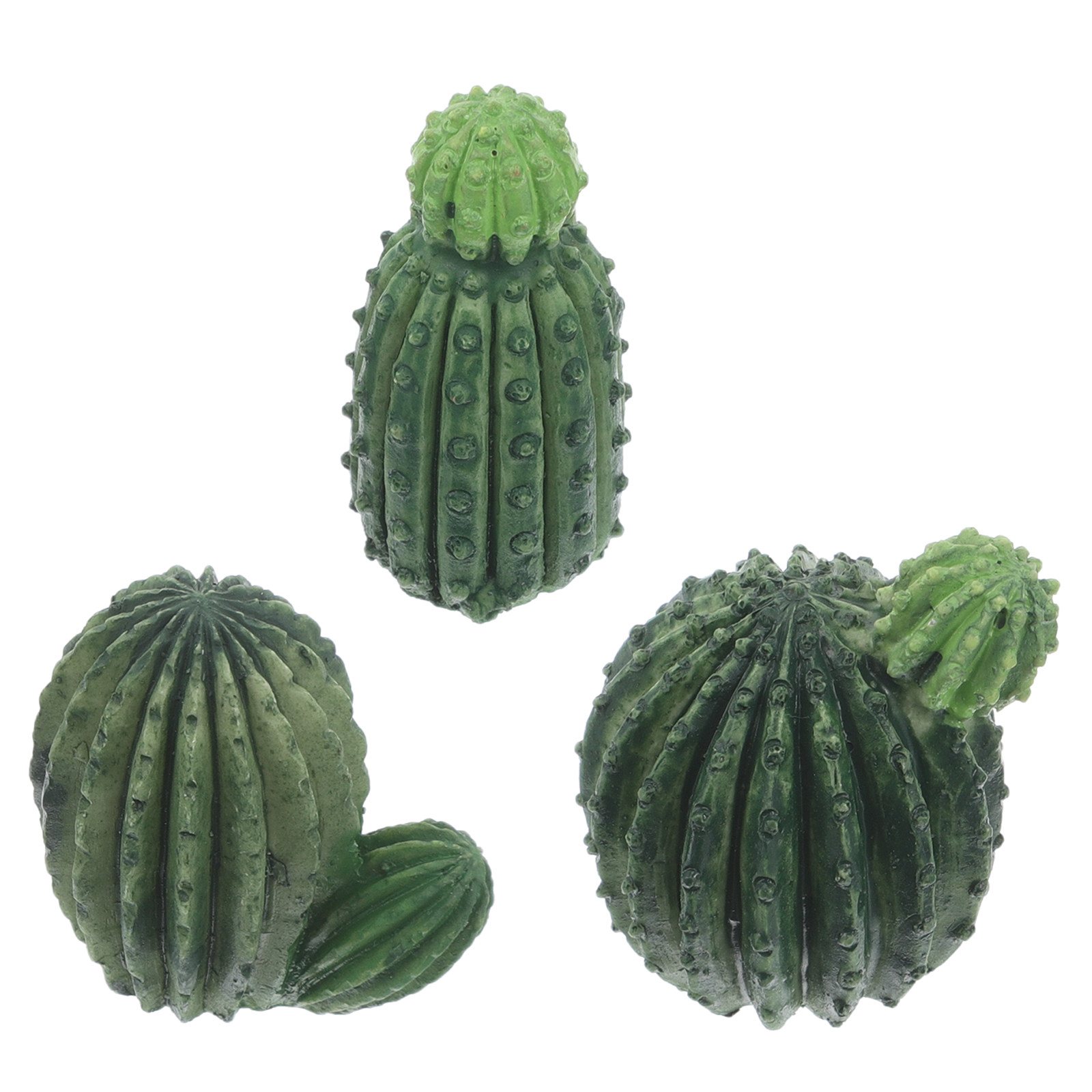 Succulent Set - Set Tanaman Sukulen Kaktus Mini dari