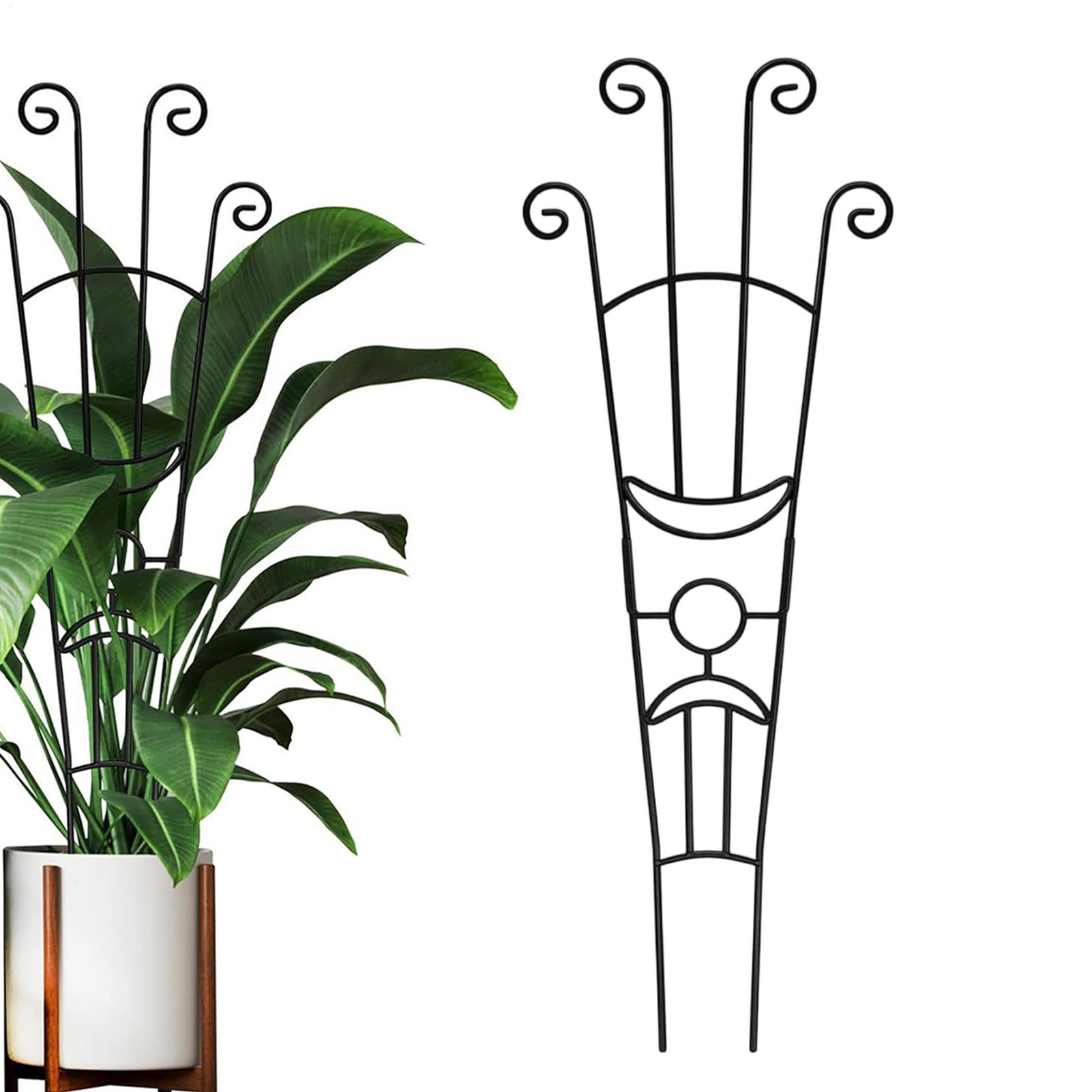 Plant Support Stake - Penyangga Tanaman Logam, Penopang Tanaman Pothos,