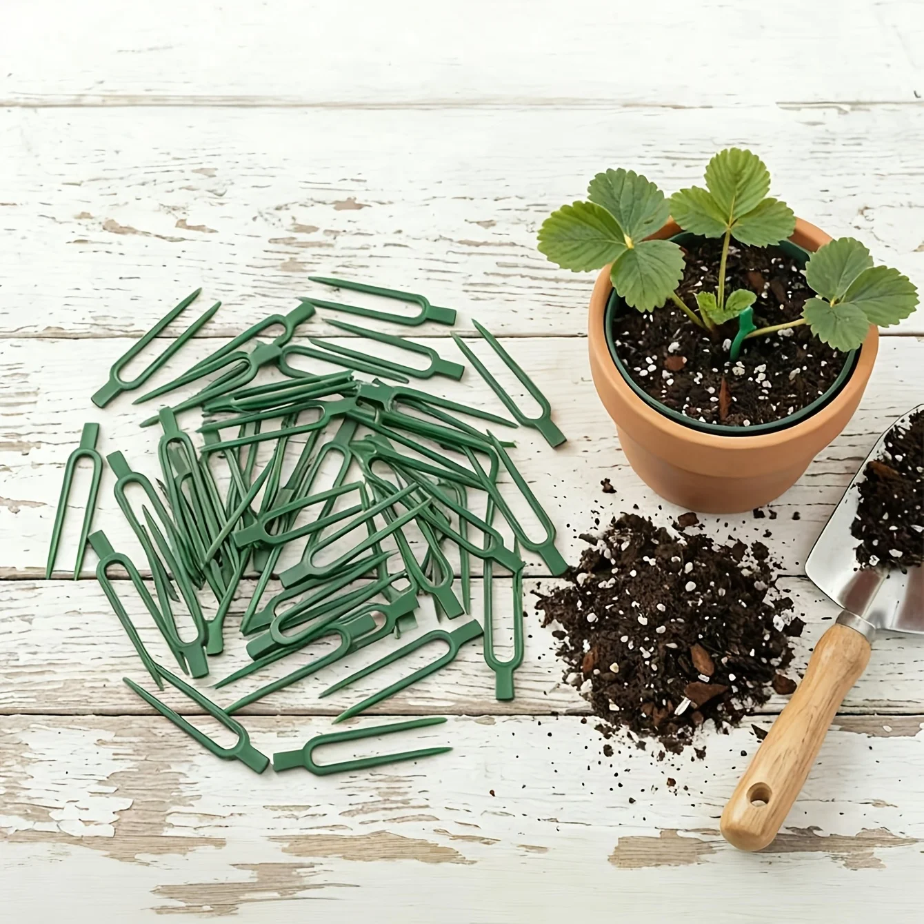 Plant Support Stake - 50 buah Garpu Penyangga Tanaman Merambat