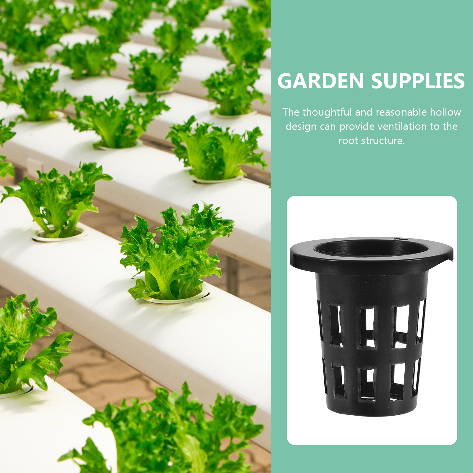 50 Buah Keranjang Tanam Plasti - Plant Pot ulasan dan harga