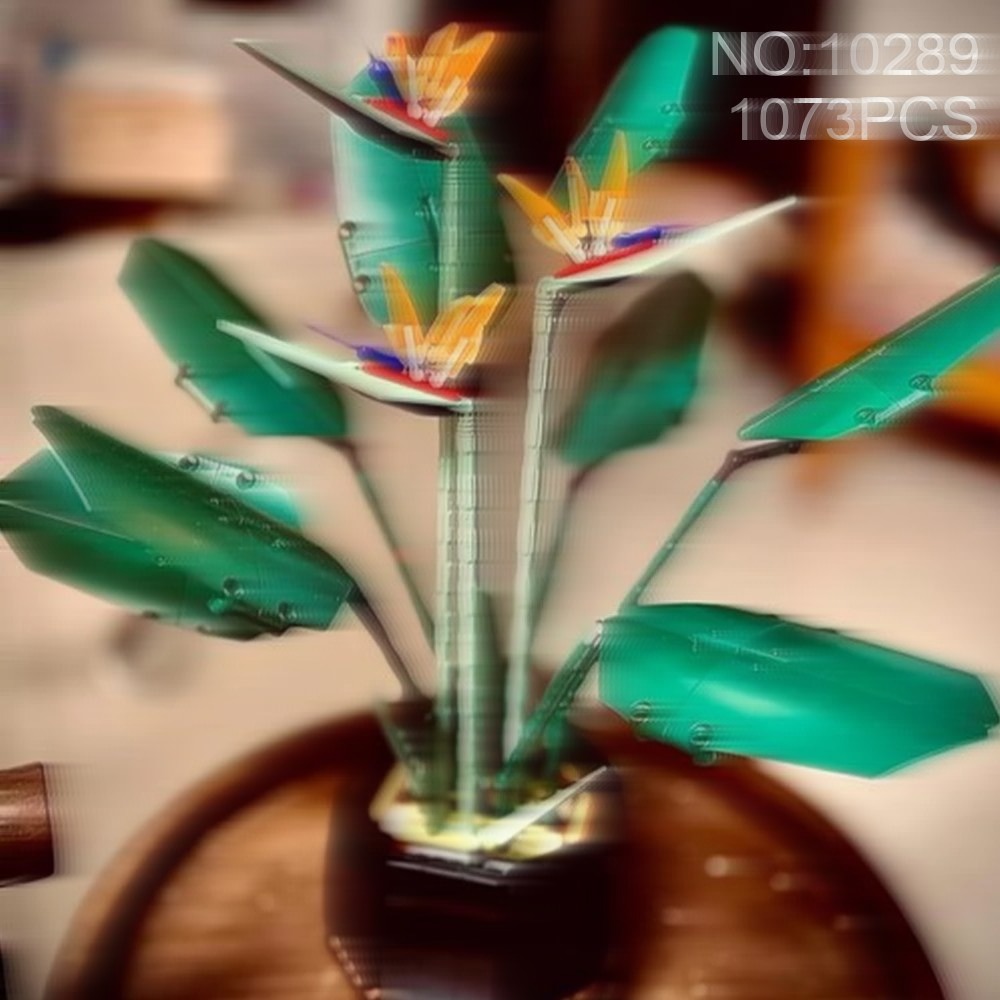 Set Dekorasi Bunga Anggrek Bur - The Plant Parent ulasan dan harga