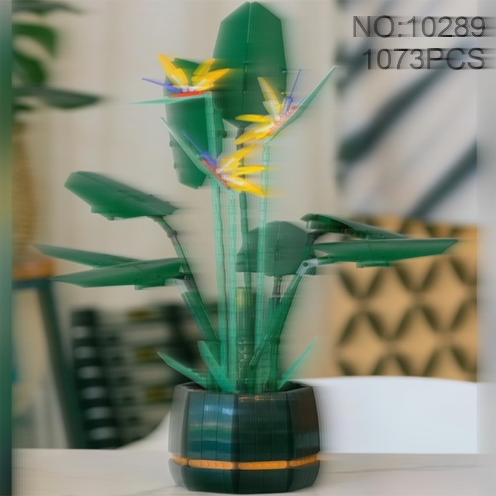 Set Dekorasi Bunga Anggrek Bur - The Plant Parent ulasan dan harga