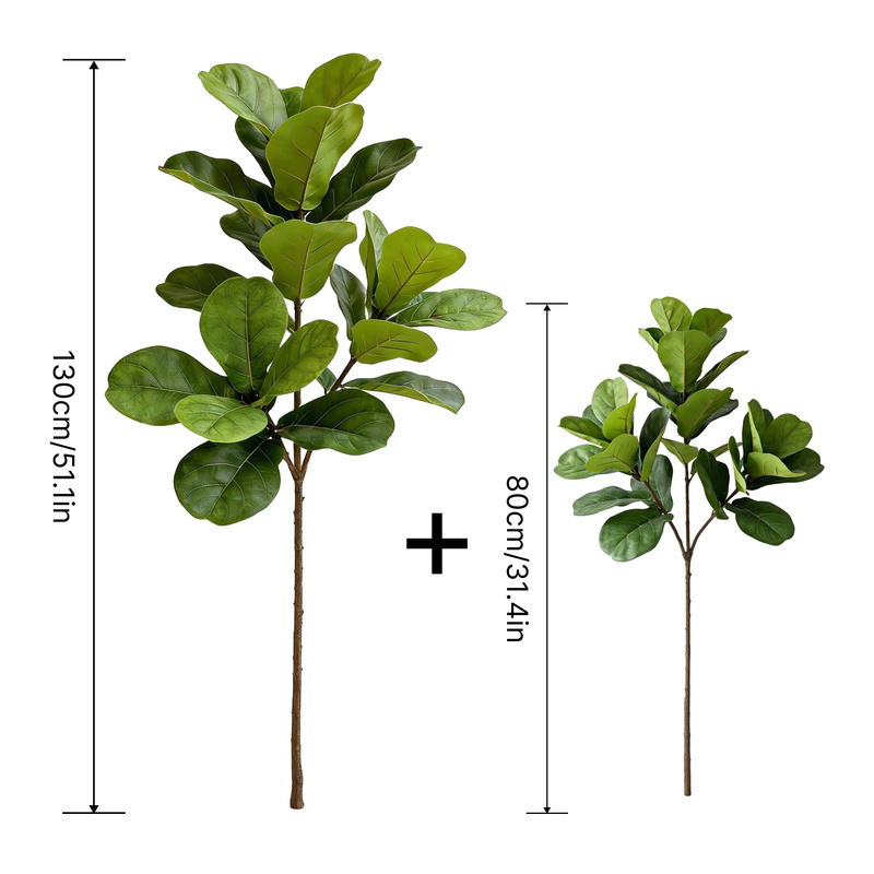 Pohon Ficus Lyrata Buatan Beru - Fiddle Leaf Fig ulasan dan harga