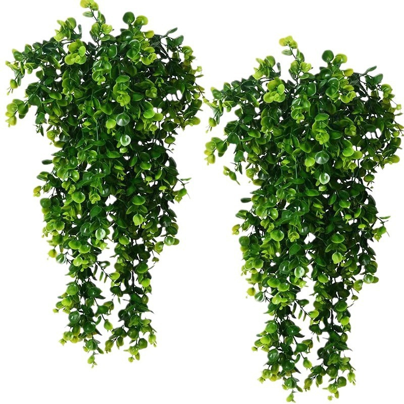 1 Buah Hiasan Dinding Kayu Put - Snake Plant ulasan dan harga