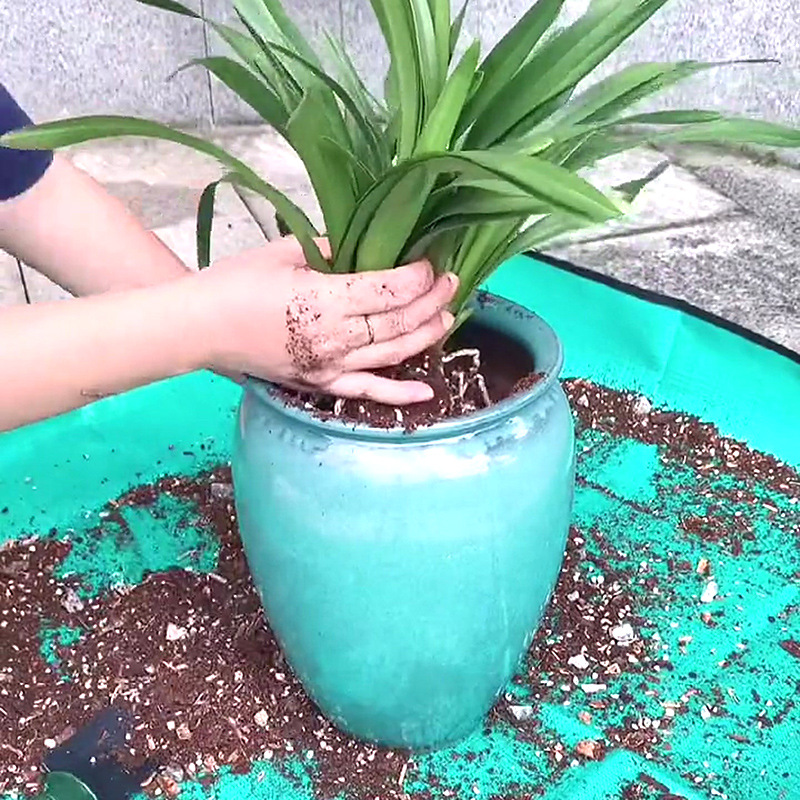 1 buah alas tanam 50cm-100cm a - Repotting Mat ulasan dan harga