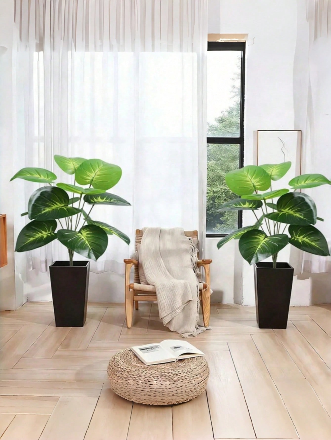 Pohon Uang Buatan Berukuran Be - Pothos ulasan dan harga