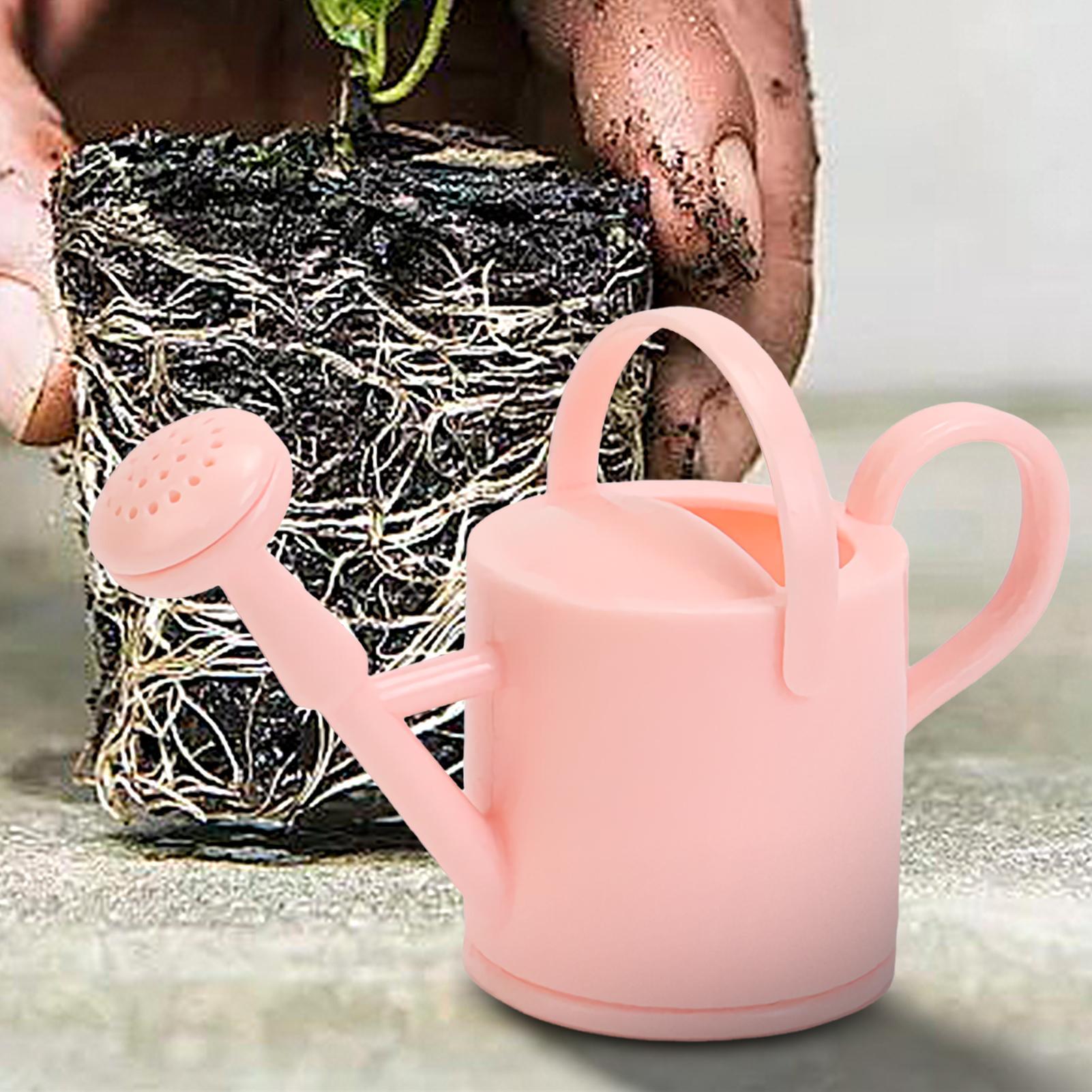 Kaleng Penyiram Anak Kecil, Al - Pothos ulasan dan harga