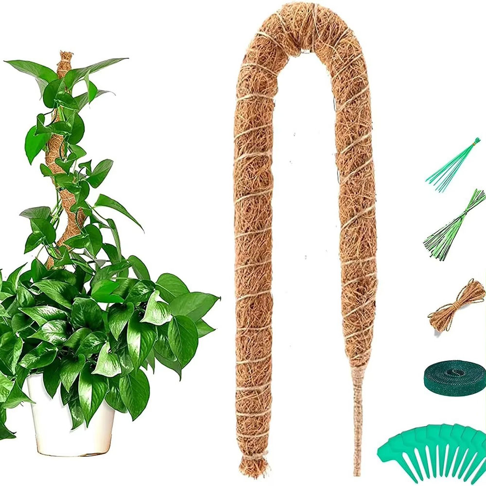 Tongkat Penyangga Tanaman Kela - Pothos ulasan dan harga