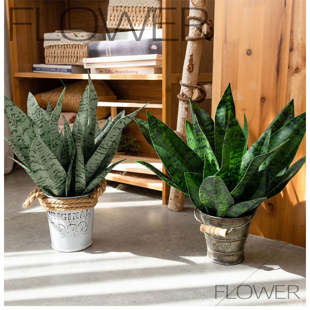 Tanaman Ubur-Ubur Buatan dari  - Snake Plant ulasan dan harga
