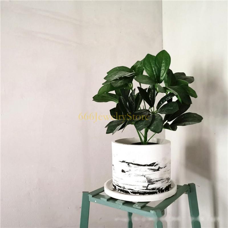 F2TD Model plester beton silik - Succulent Set ulasan dan harga