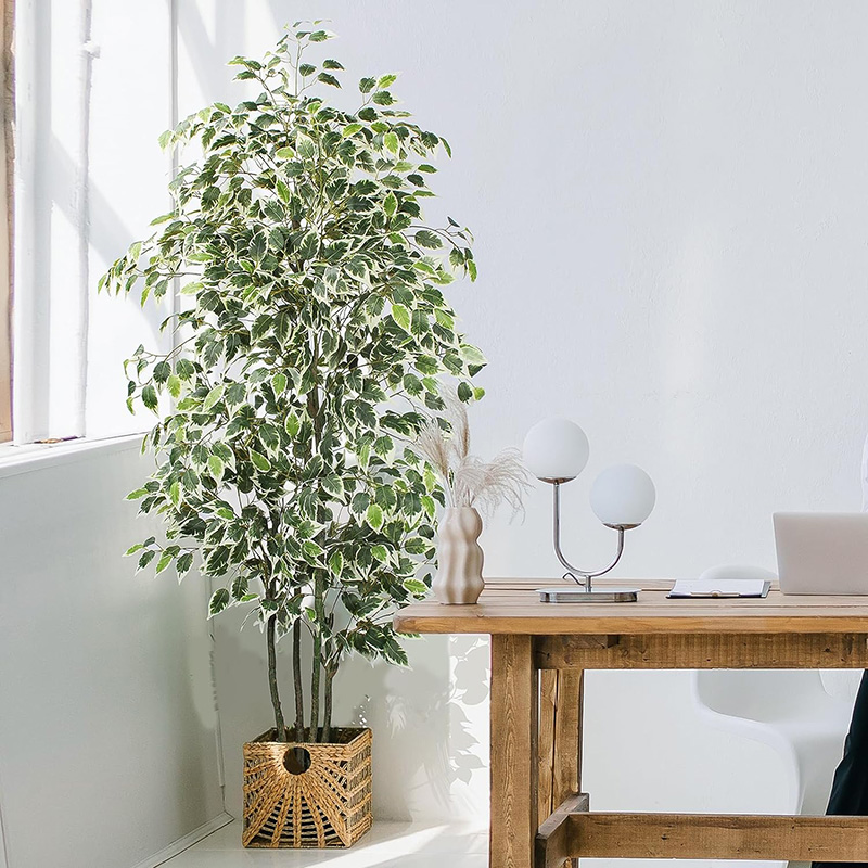 Pohon Ficus buatan plastik, ta - Fiddle Leaf Fig ulasan dan harga