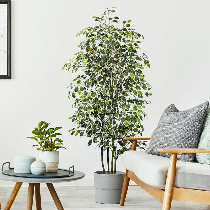 Pohon Ficus buatan plastik, ta - Fiddle Leaf Fig ulasan dan harga