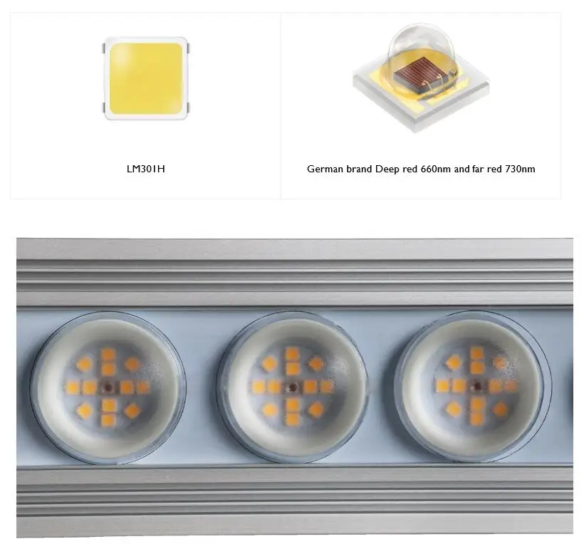 Lampu tanaman LED strip spektr - Indoor Plants ulasan dan harga