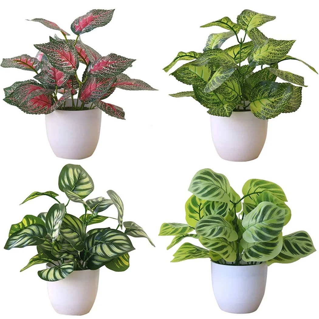 1 Buah Pot Tanaman Dedaunan Bu - Succulent Set ulasan dan harga