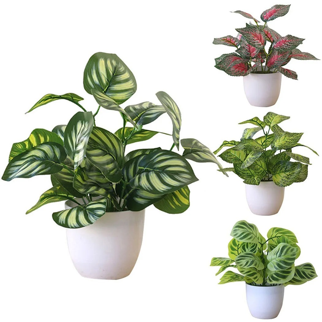 1 Buah Pot Tanaman Dedaunan Bu - Succulent Set ulasan dan harga