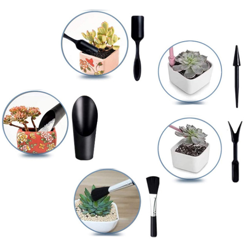 Set alat berkebun Mini, papan  - Succulent Set ulasan dan harga