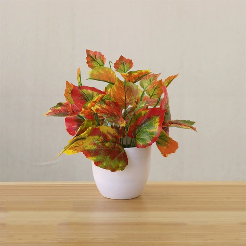 Tanaman Buatan, Bonsai, Tanama - Snake Plant ulasan dan harga