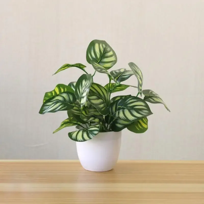 Tanaman Buatan, Bonsai, Tanama - Snake Plant ulasan dan harga
