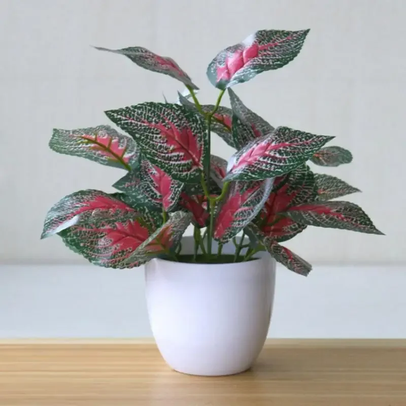 Tanaman Buatan, Bonsai, Tanama - Snake Plant ulasan dan harga