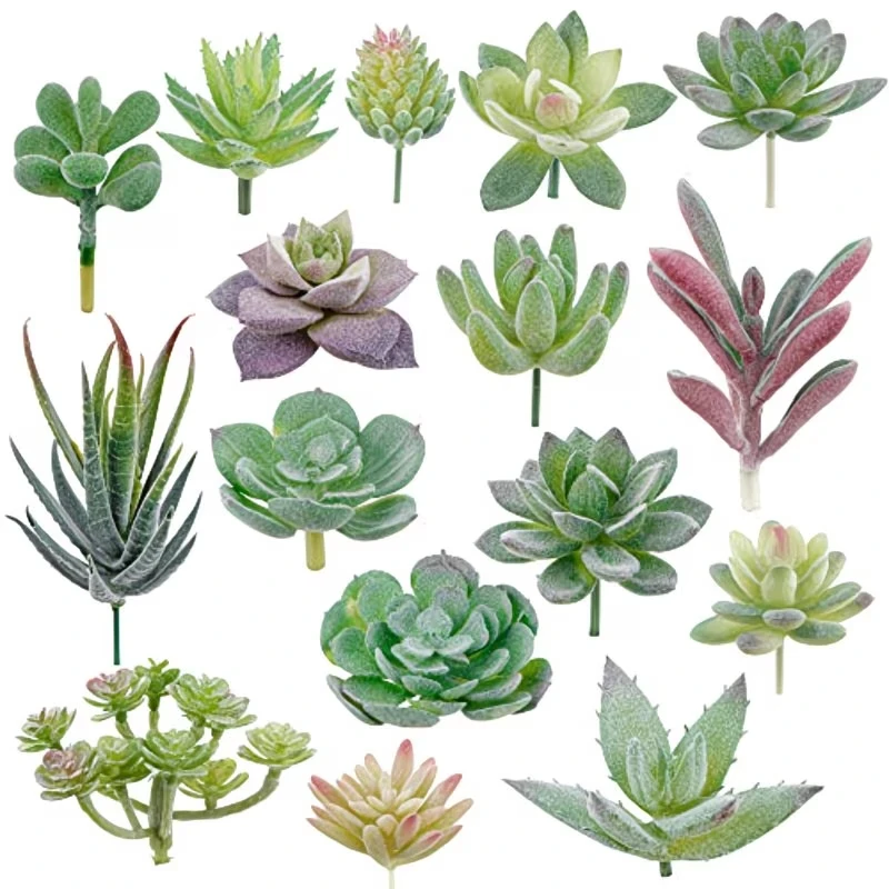 10/20 Buah Tanaman Sukulen PVC - Succulent Set ulasan dan harga