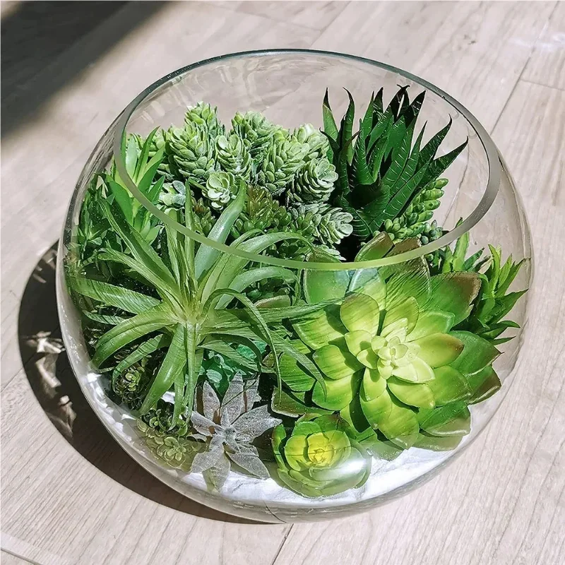 10/20 Buah Tanaman Sukulen PVC - Succulent Set ulasan dan harga